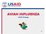 AVIAN INFLUENZA. USAID Strategy