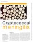 Cryptococcal. meningitis