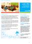 LAC-RO. Humanitarian Situation Report RESPONSE HIGHLIGHTS SITUATION OVERVIEW