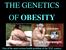 THE GENETICS OF OBESITY. One of the most serious health problem of the XXI. century