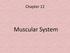 Chapter 12. Muscular System