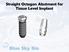 Straight Octagon Abutment for Tissue Level Implant