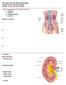 P215 Spring 2018: Renal Physiology Chapter 18: pp , Chapter 19: pp ,