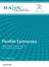 Flexible Cystoscopy. Second Edition. Flexible Cystoscopy Performance Criteria, Training and Assessment Record Second Edition November 2017