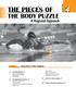 THE PIECES OF THE BODY PUZZLE. A Regional Approach CHAPTER. Activities in this chapter: ASSESSMENT CATEGORIES. Application.