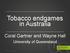 Tobacco endgames in Australia