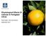 Physiological Effects Of Calcium In Fertigated Citrus. Anke Kwast, Yara International September 2010