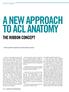 A NEW APPROACH TO ACL ANATOMY