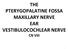 THE PTERYGOPALATINE FOSSA MAXILLARY NERVE EAR VESTIBULOCOCHLEAR NERVE CN VIII