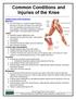 Common Conditions and Injuries of the Knee