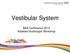 Vestibular System. BAA Conference 2014 Assistant Audiologist Workshop