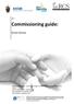 Commissioning guide: