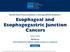 Esophageal and Esophagogastric Junction Cancers
