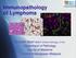 Immunopathology of Lymphoma