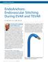 EndoAnchors: Endovascular Stitching During EVAR and TEVAR