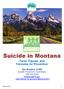 Suicide in Montana. Facts, Figures, and Formulas for Prevention