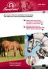 Find out what our experts suggest! What are the causes for the development of musculoskeletal disorders in young horses?