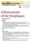 Inflammation of the Esophagus (Esophagitis) Basics