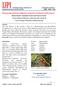 Pharmacognostical Investigations on Berries of Solanum xanthocarpum