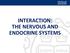 Interac(on: the nervous and endocrine systems INTERACTION: THE NERVOUS AND ENDOCRINE SYSTEMS