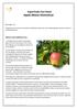 Superfoods Fact Sheet Apple (Malus Domestica)