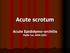 Acute scrotum. Acute Epididymo-orchitis. Phyllis Yan, APDR (QEH)