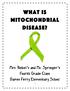 What is Mitochondrial Disease?