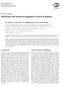 Review Article Interferons and Interferon Regulatory Factors in Malaria