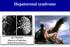 Hepatorenal syndrome. Jan T. Kielstein Departent of Nephrology Medical School Hannover