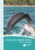 Gippsland Lakes Burrunan Dolphins. A guide to safe boating