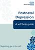 Devon Partnership NHS Trust. Postnatal Depression