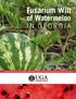 Fusarium Wilt. of Watermelon IN GEORGIA