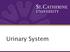 URINARY SYSTEM. Urinary System