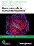 From stem cells to human development