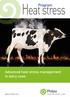Program. Advanced heat stress management in dairy cows. phileo-lesaffre.com LESAFFRE ANIMAL CARE