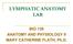 LYMPHATIC ANATOMY LAB. BIO 139 ANATOMY AND PHYSIOLOGY II MARY CATHERINE FLATH, Ph.D.