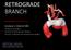 RETROGRADE BRANCH. Gustavo S. Oderich MD Professor of Surgery Director of Endovascular Therapy Division of Vascular and Endovascular Surgery