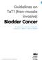 Guidelines on TaT1 (Non-muscle invasive) Bladder Cancer