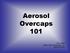 Aerosol Overcaps 101. Faye Haber estyle Caps and Closures, Inc. March 25, 2009
