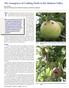 The codling moth remains a key pest of tree fruit since its
