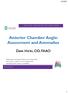 Anterior Chamber Angle: Assessment and Anomalies