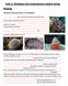 Unit 11 Mollusks and Echinoderms Guided Notes