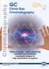 Chiral Gas Chromatography