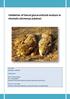Validation of faecal glucocorticoid analysis in cheetahs (Acinonyx jubatus)