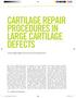 CARTILAGE REPAIR PROCEDURES IN LARGE CARTILAGE DEFECTS
