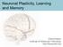 Neuronal Plasticity, Learning and Memory. David Keays Institute of Molecular Pathology