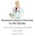 Respiratory System Overview for RN CM/DNs. Debra Ward Goldberg, RN, MSN DDA SMRO August 2013