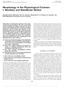 Morphology of the Physiological Foramen: I. Maxillary and Mandibular Molars