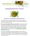 Spring Natural Liver Cleanse