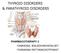 THYROID DISORDERS & PARATHYROID DISORDERS PHARMACOTHERAPY 2 ONANONG WALEEKHACHONLOET THANANAN RATTANACHOTPHANIT